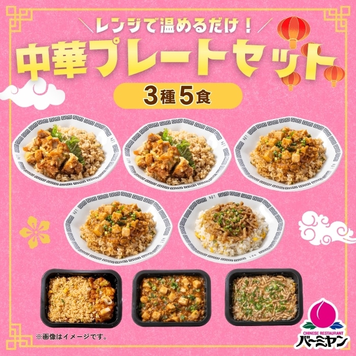 バーミヤンプレートセット