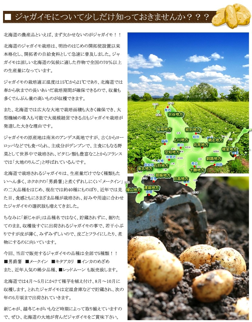 北海道産 ジャガイモ