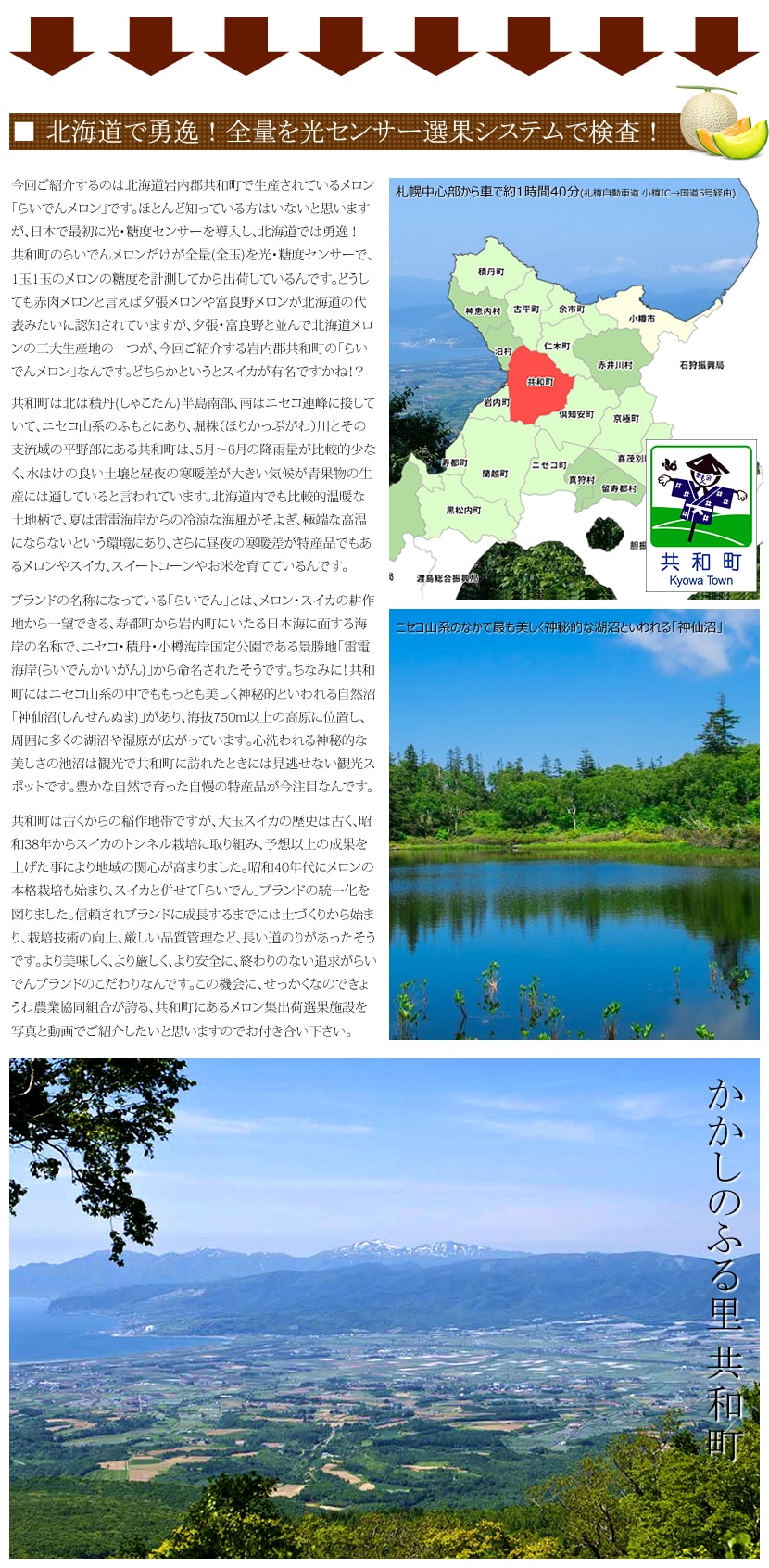 北海道 らいでんメロン