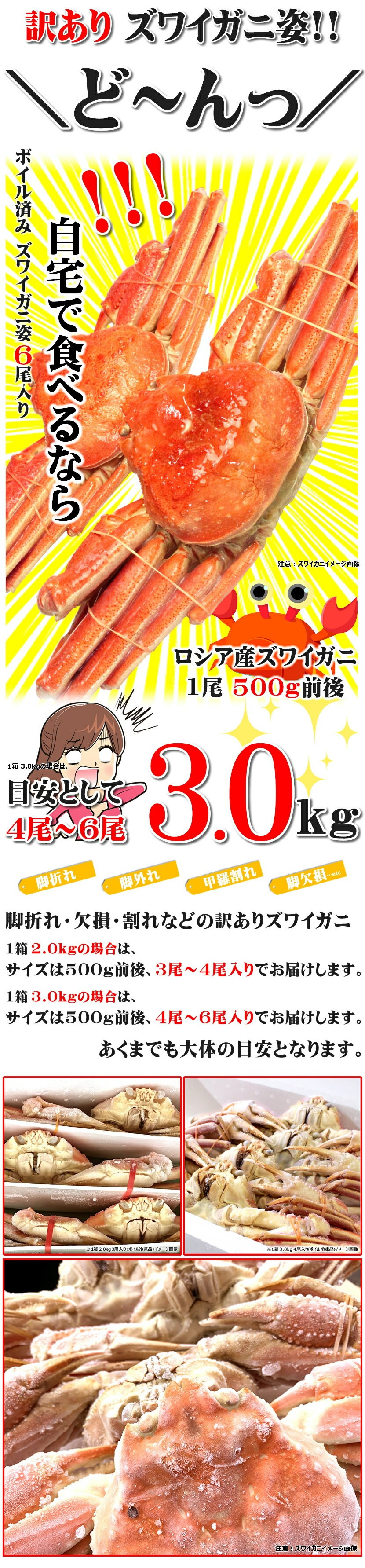 カニ ズワイガニ