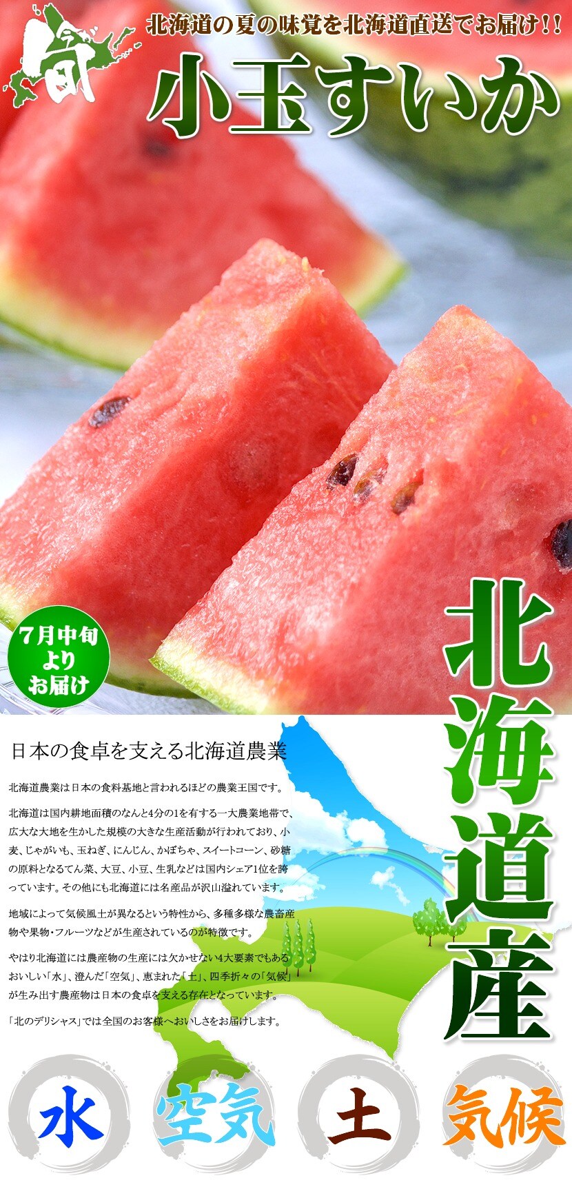 北海道 小玉すいか