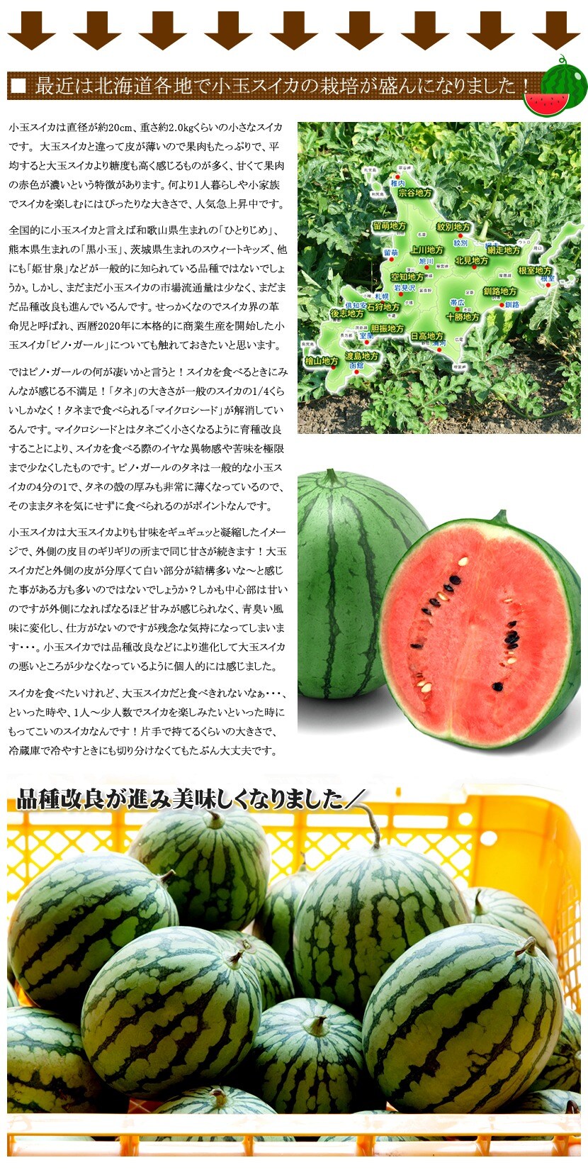 北海道 小玉すいか