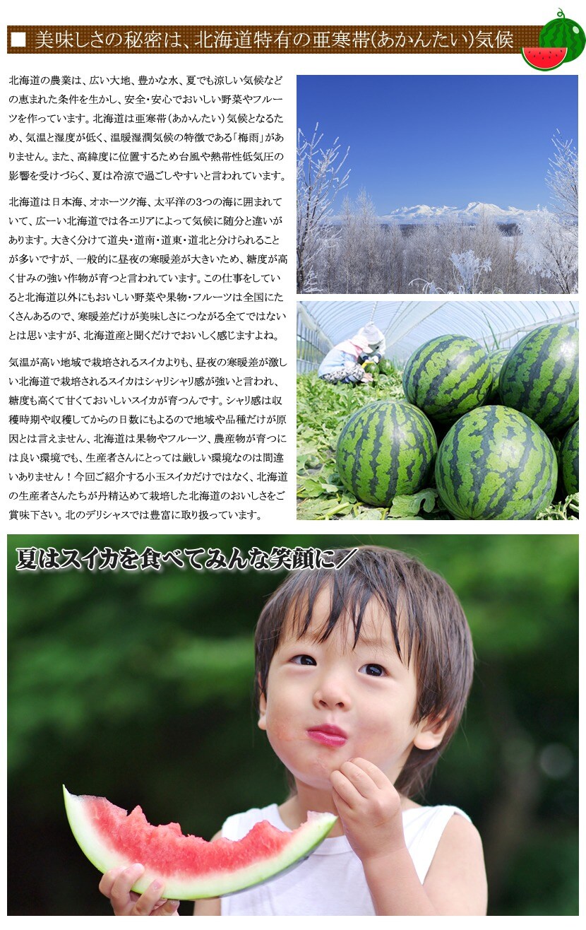 北海道 小玉すいか