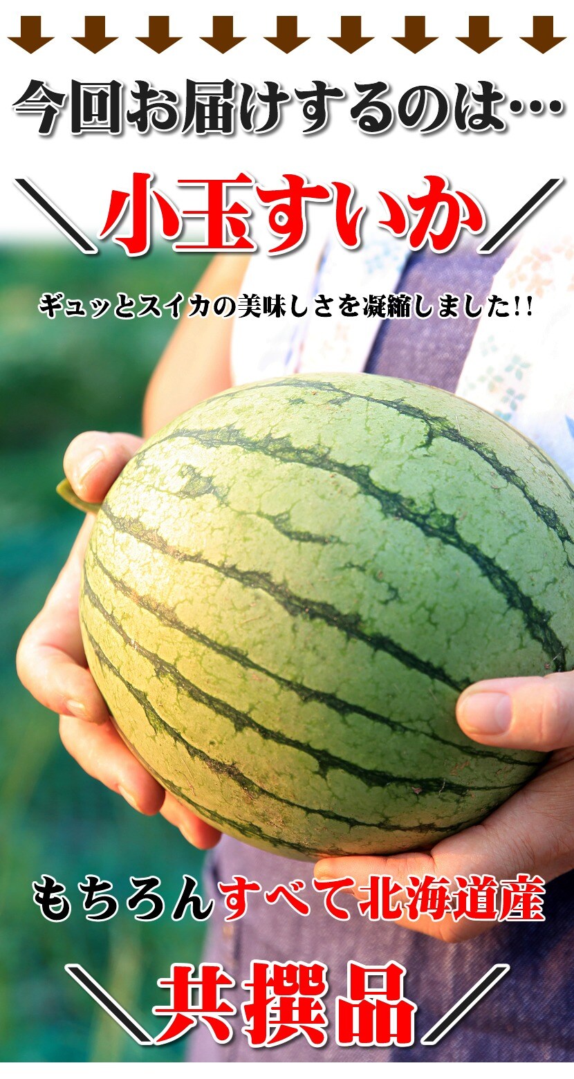 北海道 小玉すいか