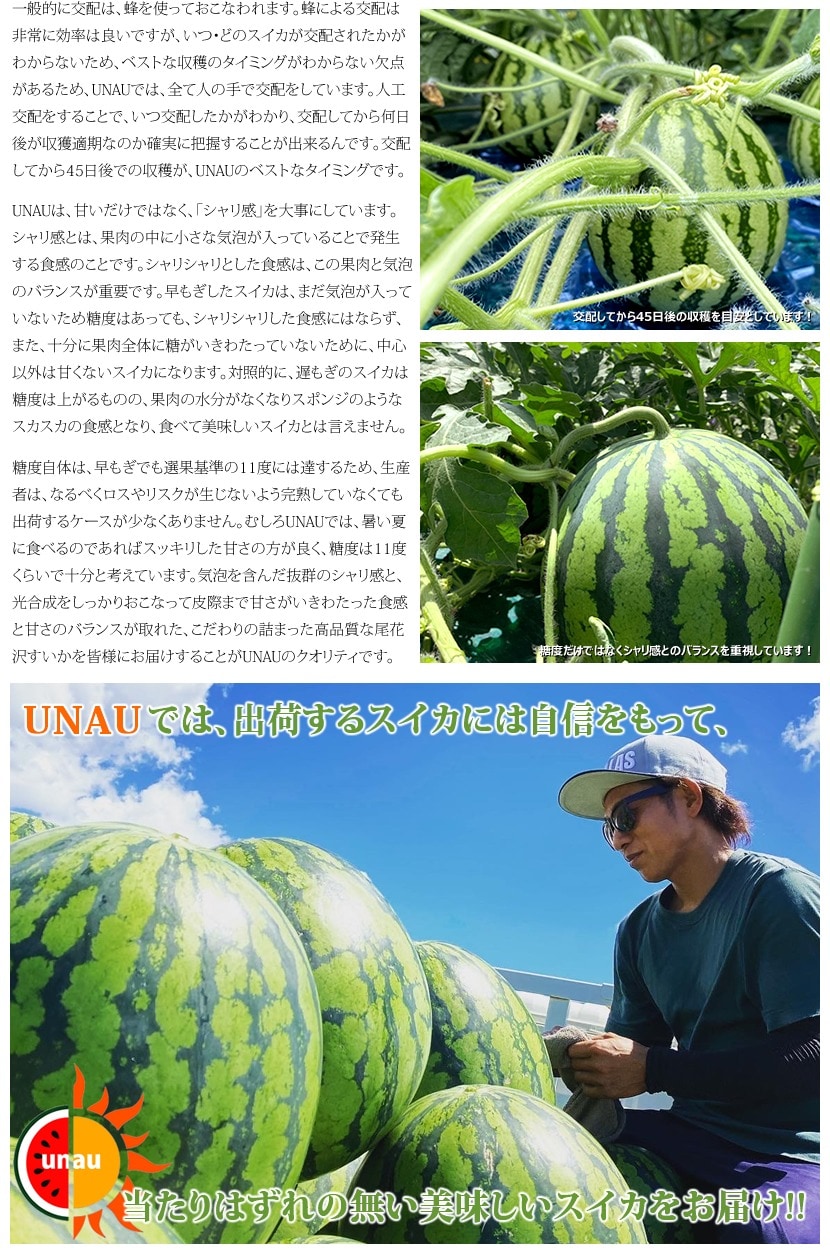 UNAU 山形県産 尾花沢すいか
