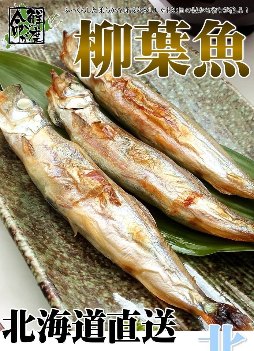 北海道産 干物 ししゃも