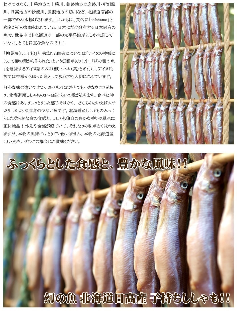 北海道産 干物 ししゃも