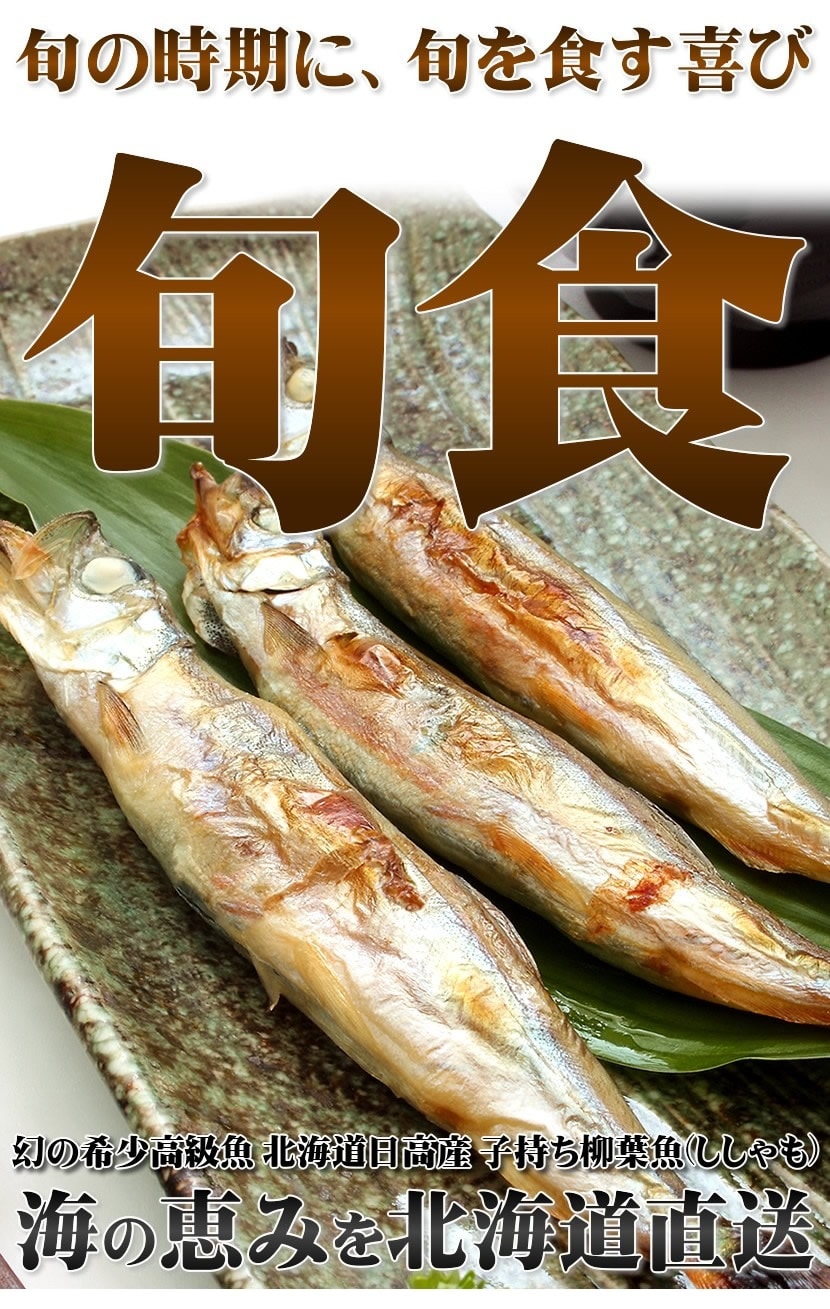 北海道産 干物 ししゃも