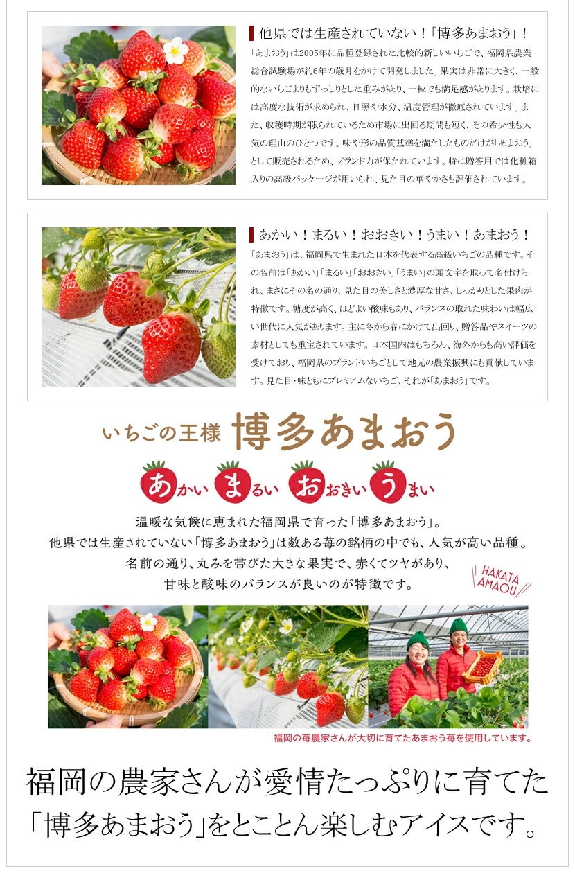 博多あまおうのこだわりアイス 