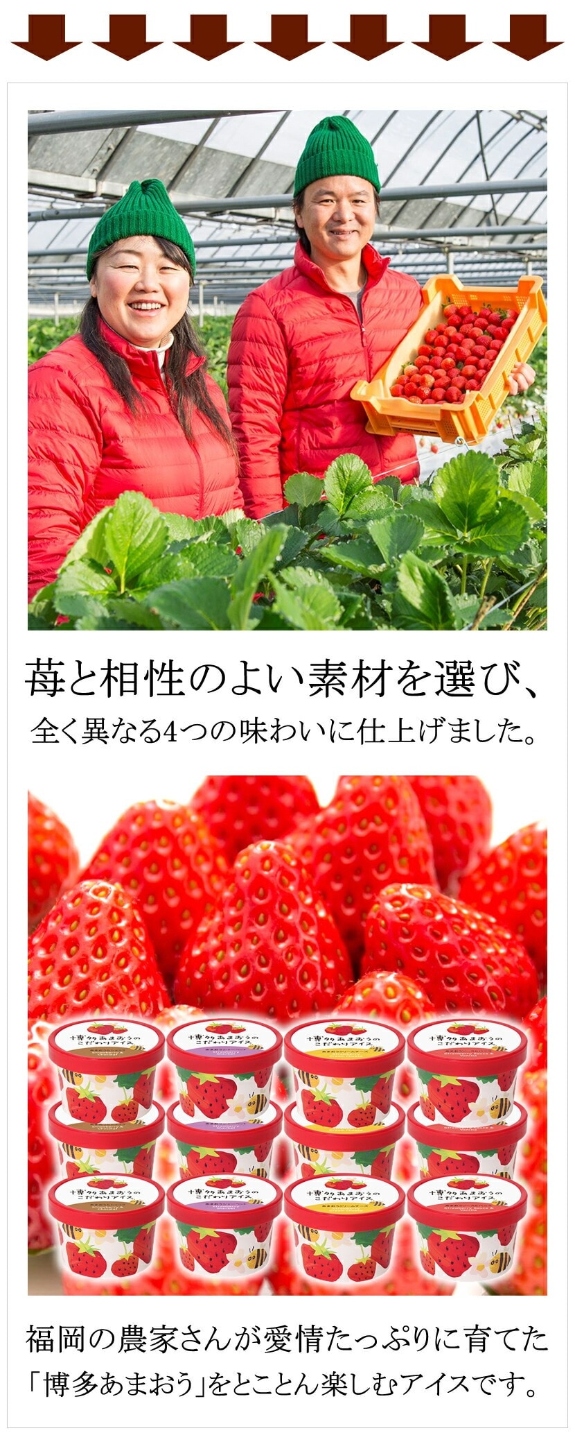 博多あまおうのこだわりアイス