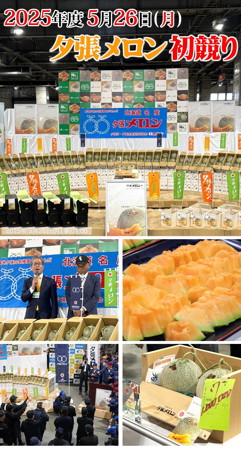 北海道産 夕張メロン