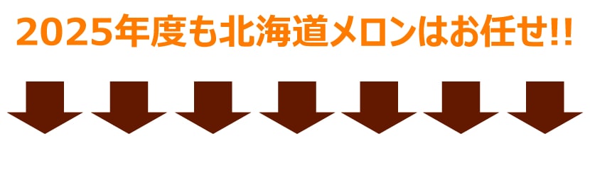 北海道産 夕張メロン