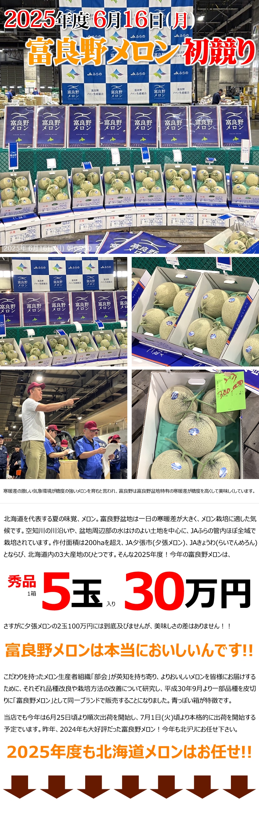 北海道産 富良野メロン