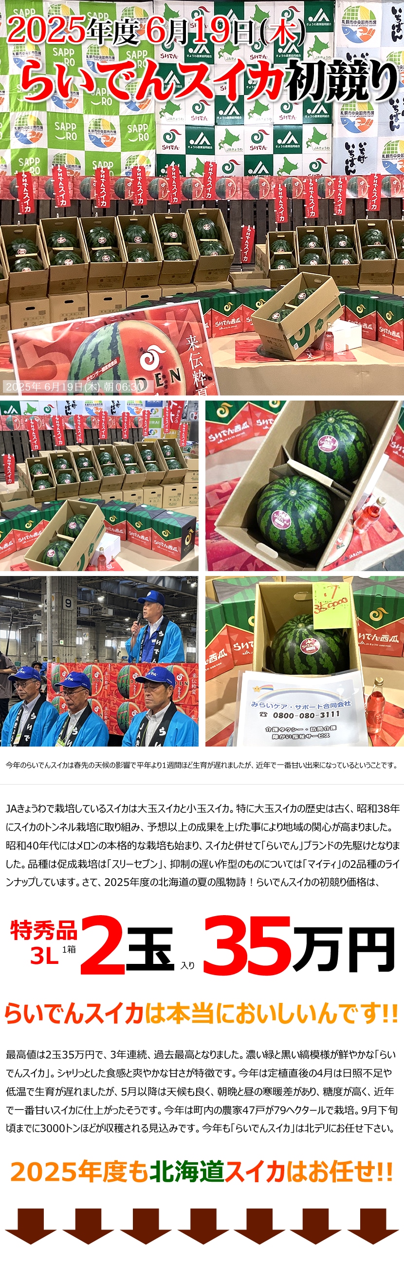 北海道 らいでんすいか