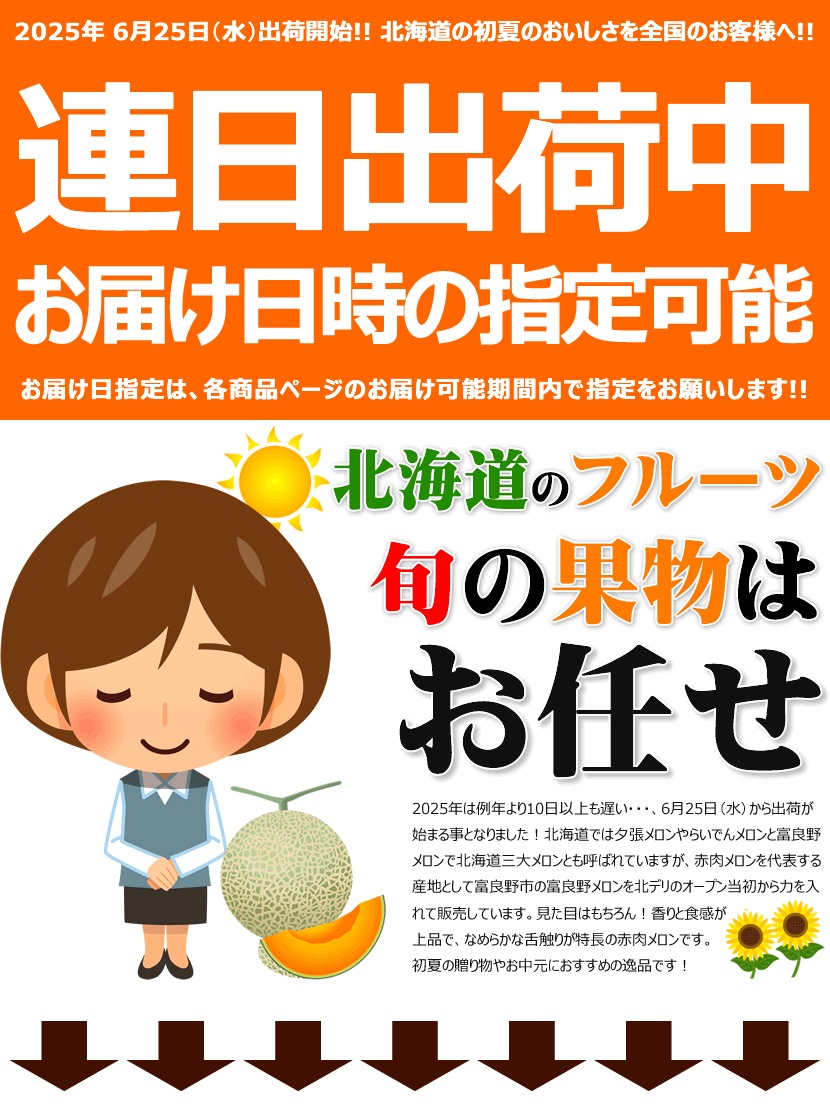 北海道産 富良野メロン
