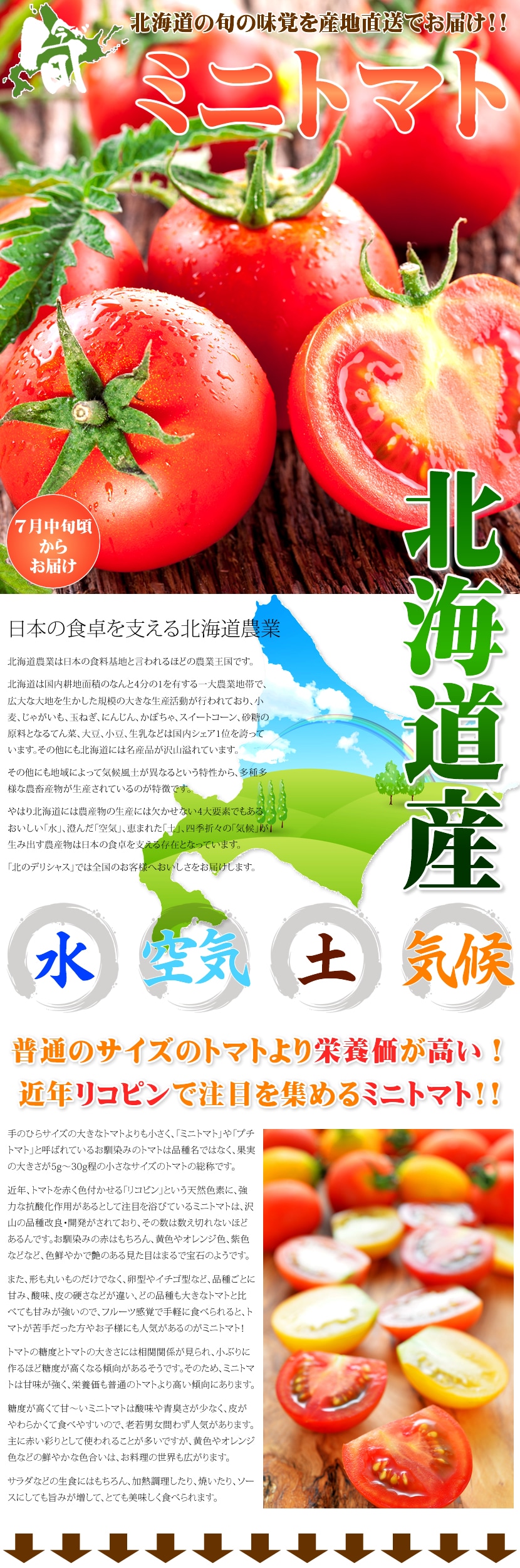 北海道産 ミニトマト