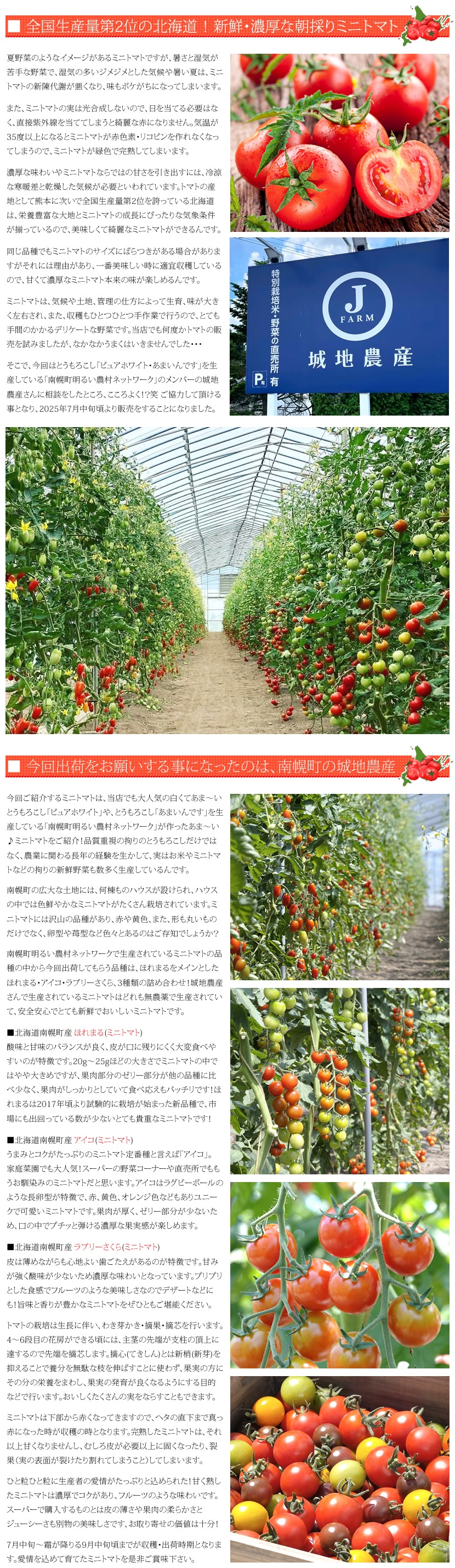 北海道産 ミニトマト