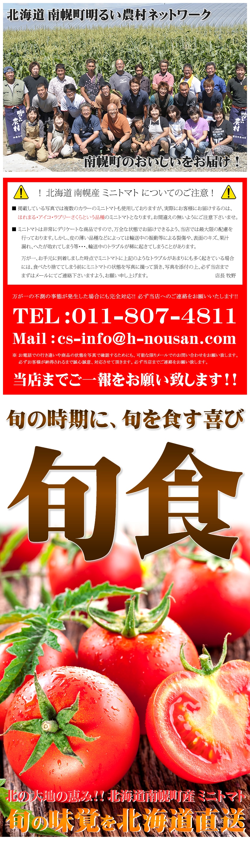 北海道産 ミニトマト