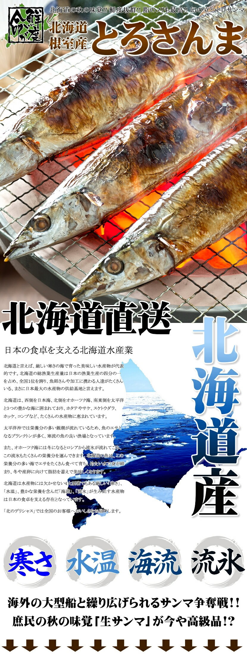 北海道産 天然 生サンマ