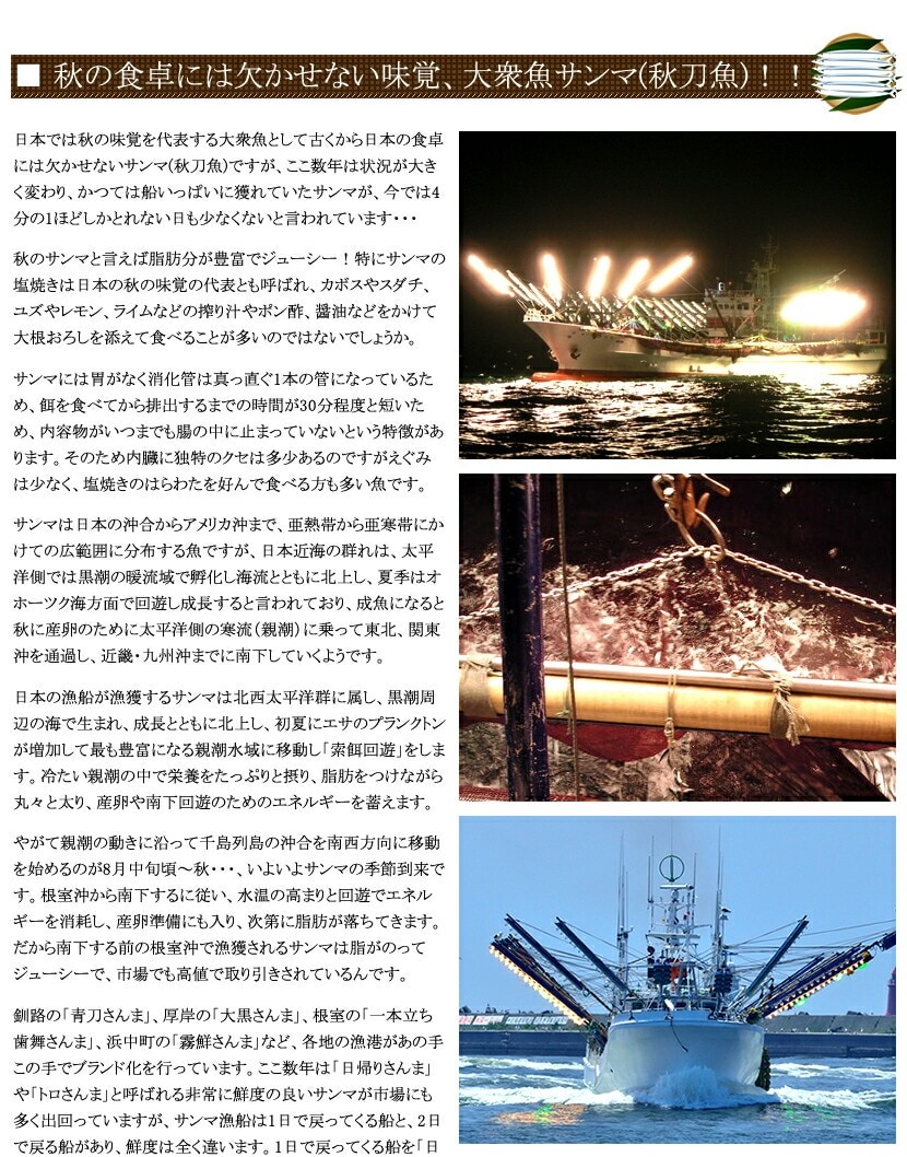 北海道産 天然 生サンマ