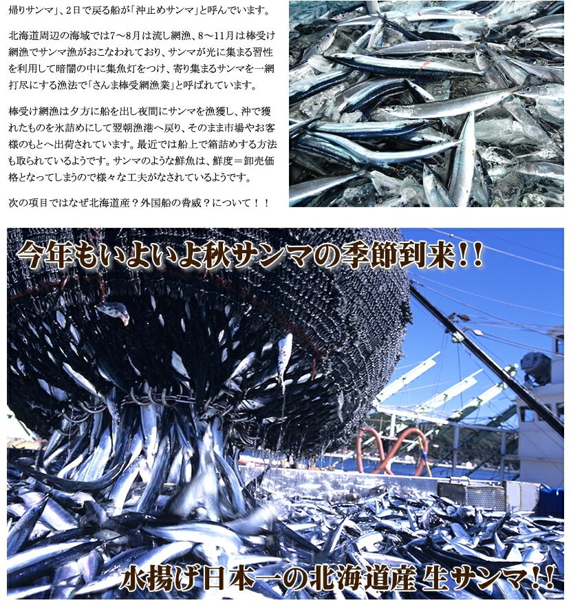 北海道産 天然 生サンマ