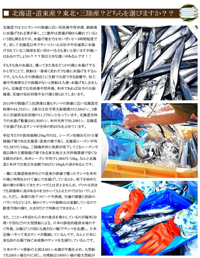 北海道産 天然 生サンマ