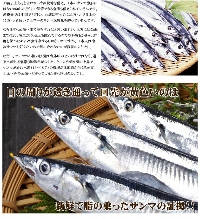 北海道産 天然 生サンマ