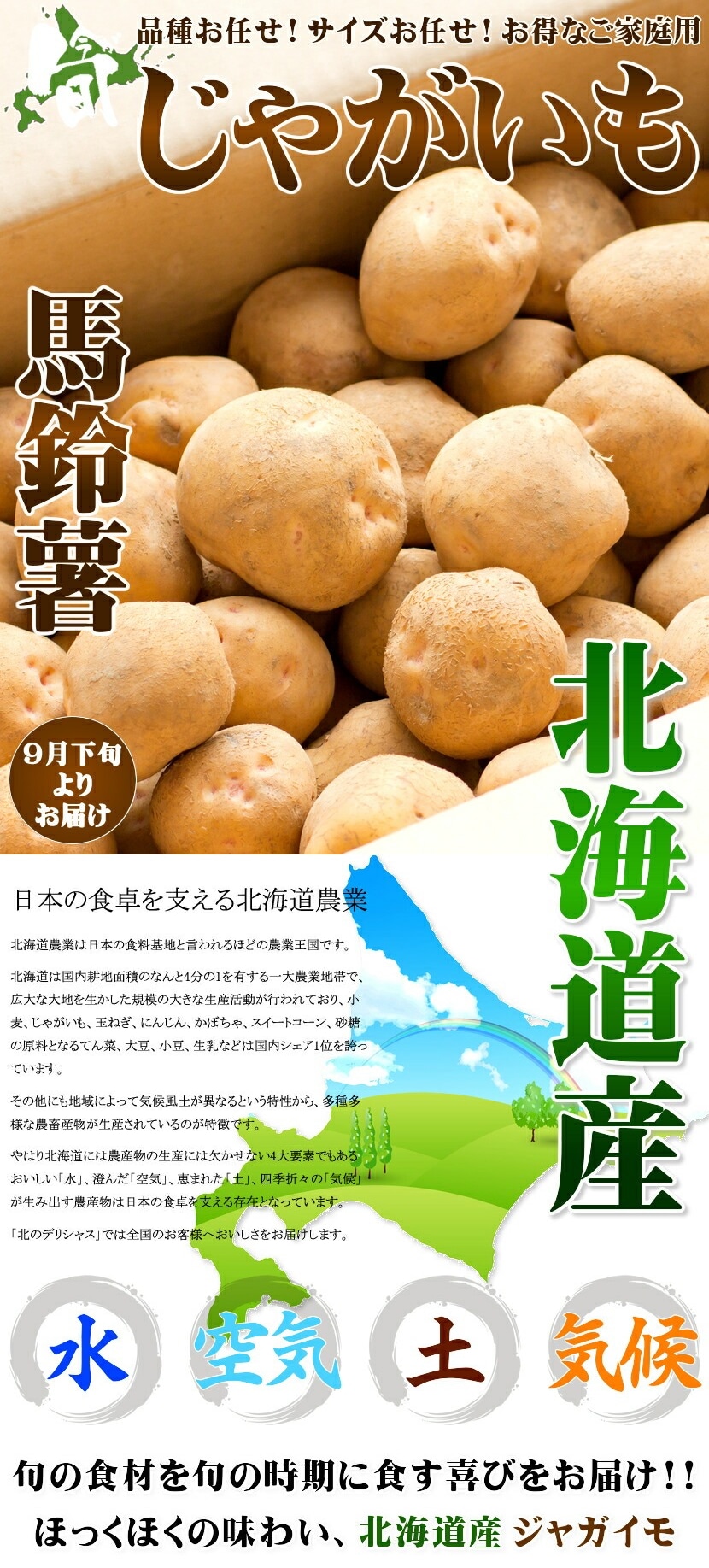 北海道産 ジャガイモ
