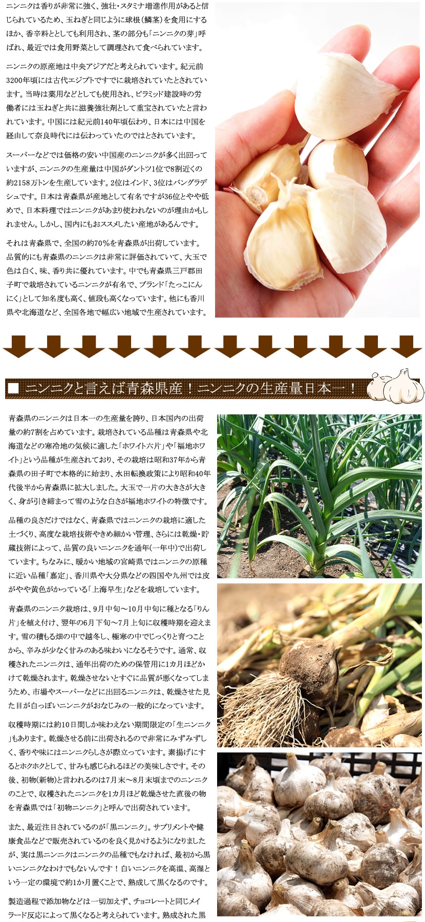 青森県産 にんにく