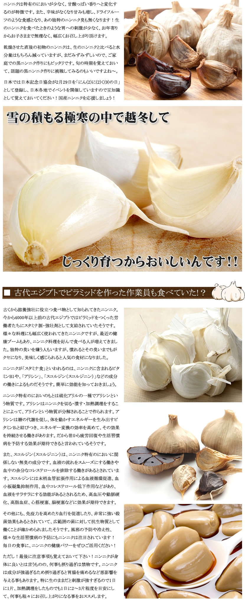 青森県産 にんにく