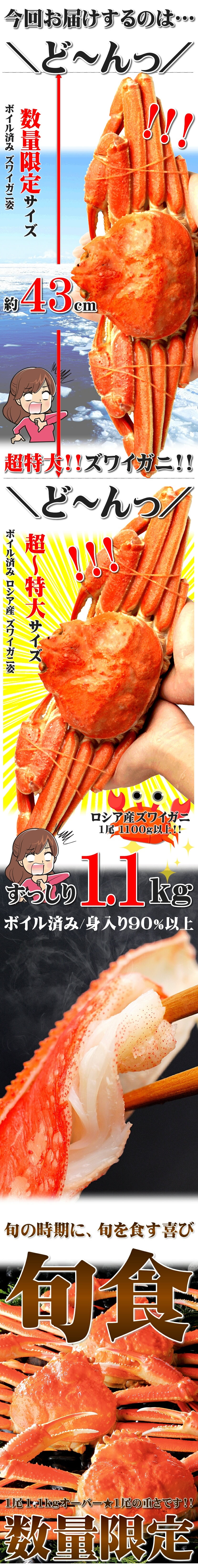 カニズワイガニ