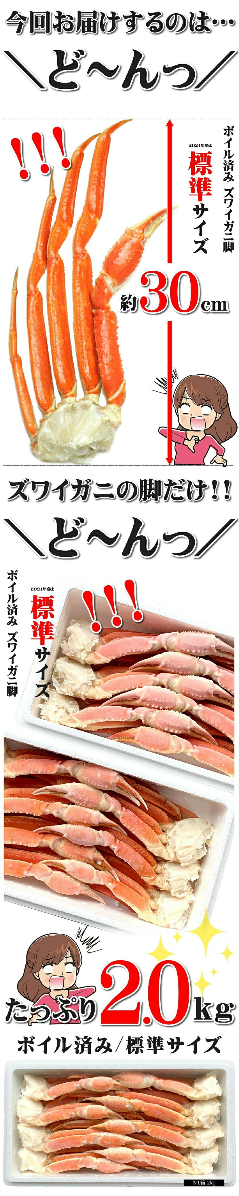 カニ ズワイガニ