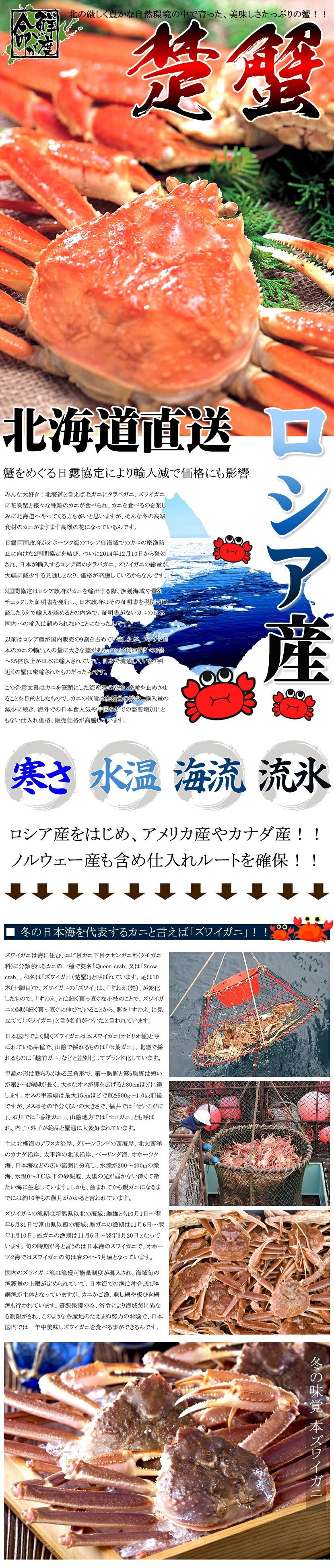 カニ ズワイガニ