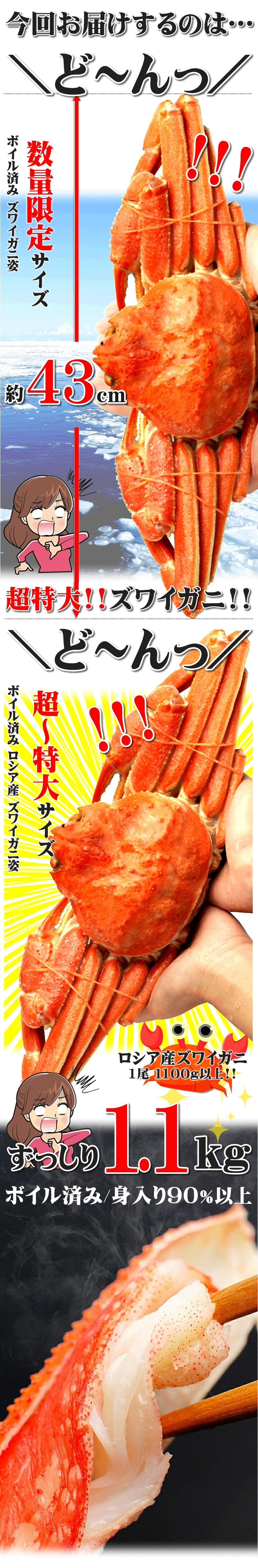 カニ ズワイガニ