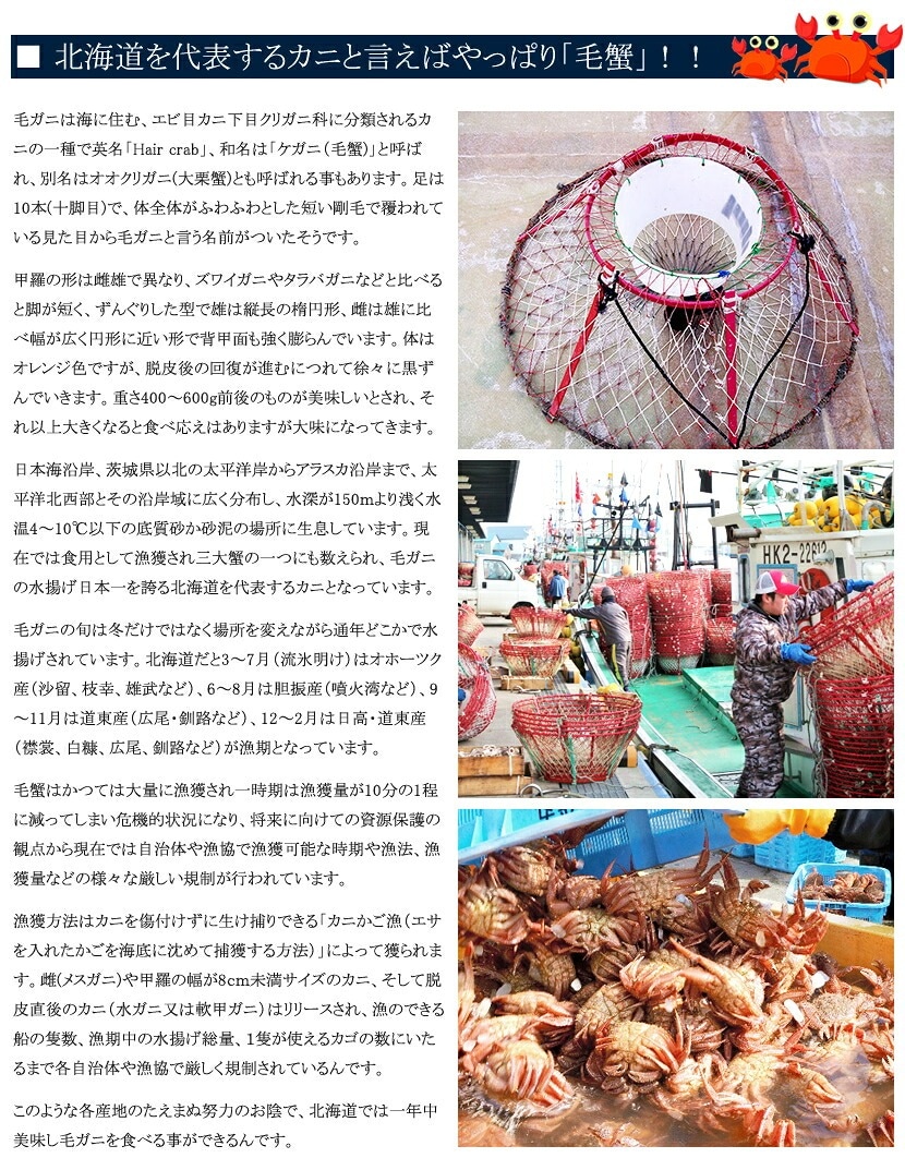 北海道産 毛ガニ
