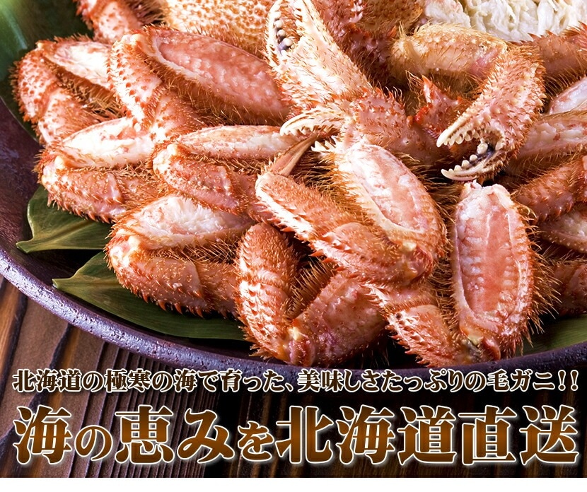北海道産 毛ガニ