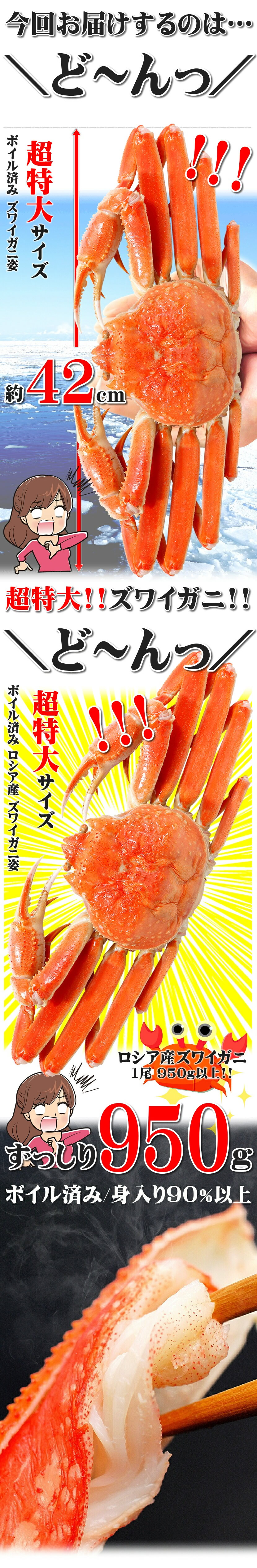 カニズワイガニ