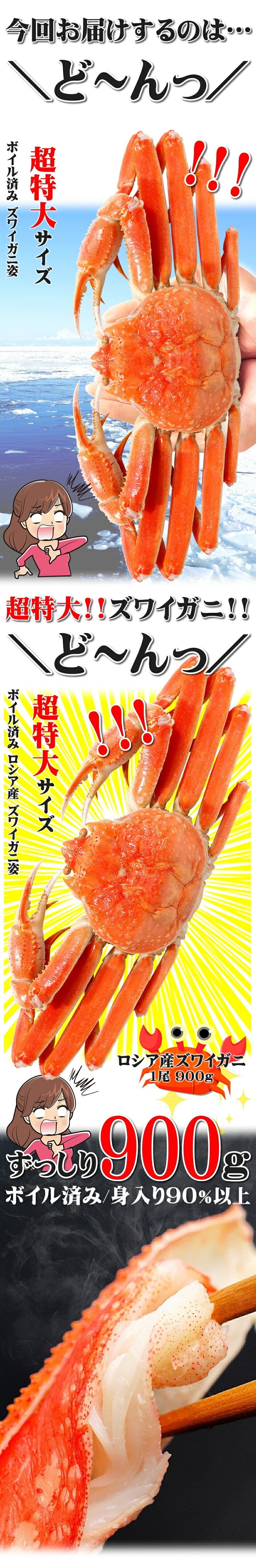 カニズワイガニ  