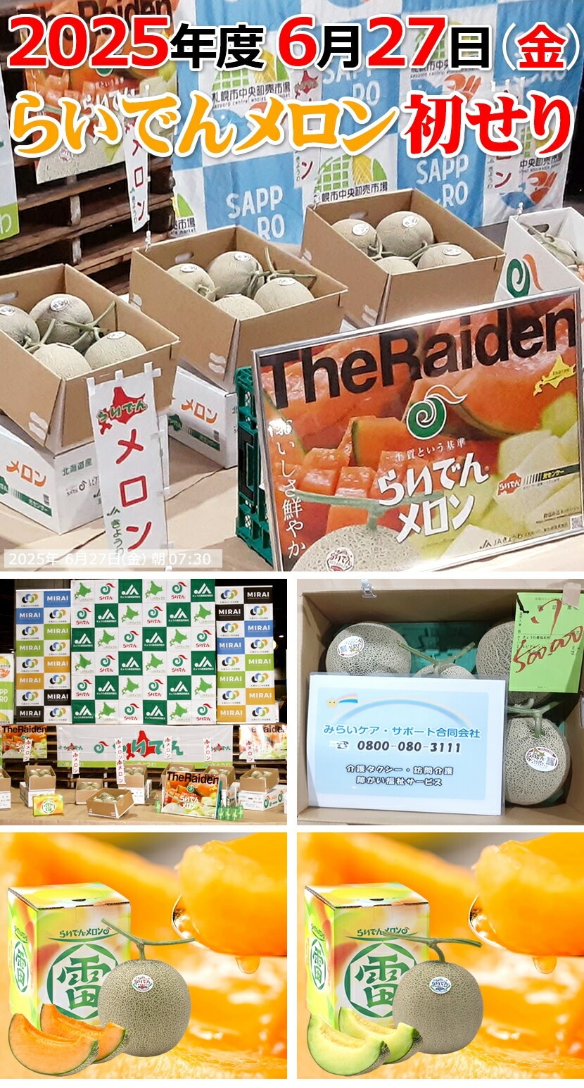 北海道 らいでんメロン