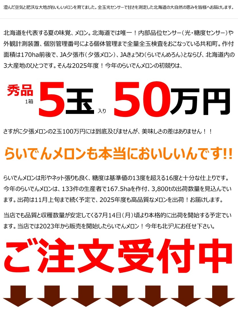 北海道 らいでんメロン