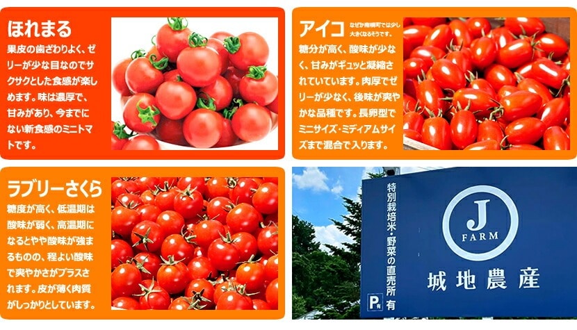 北海道産 ミニトマト