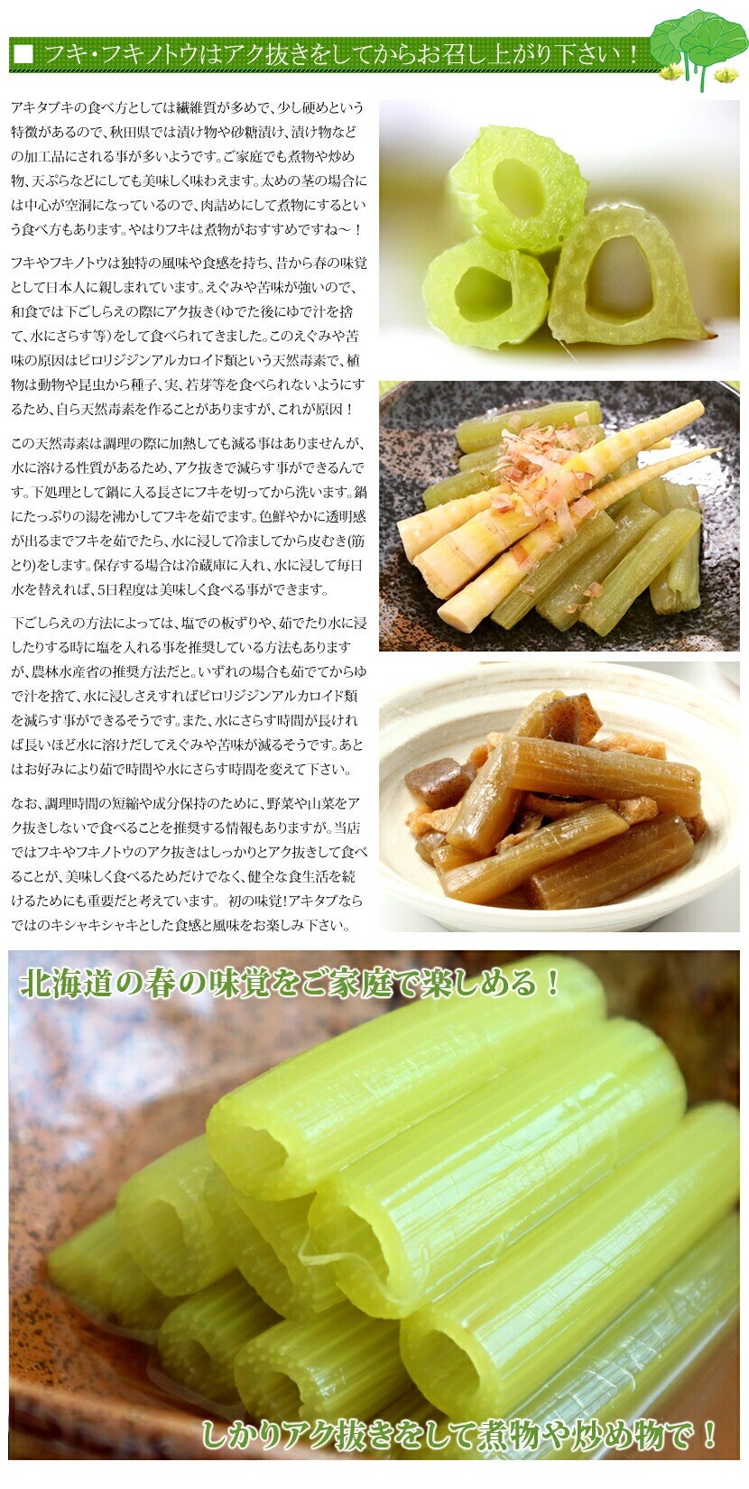 北海道産 アキタブキ