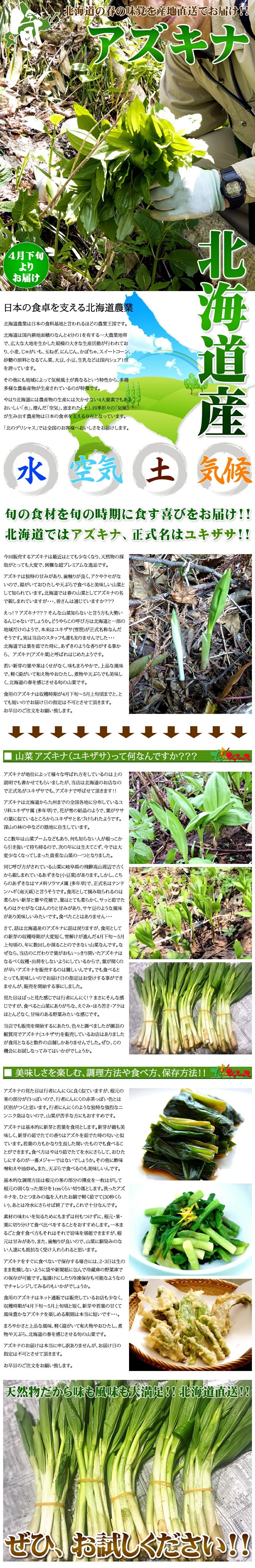 北海道産 天然 アズキナ