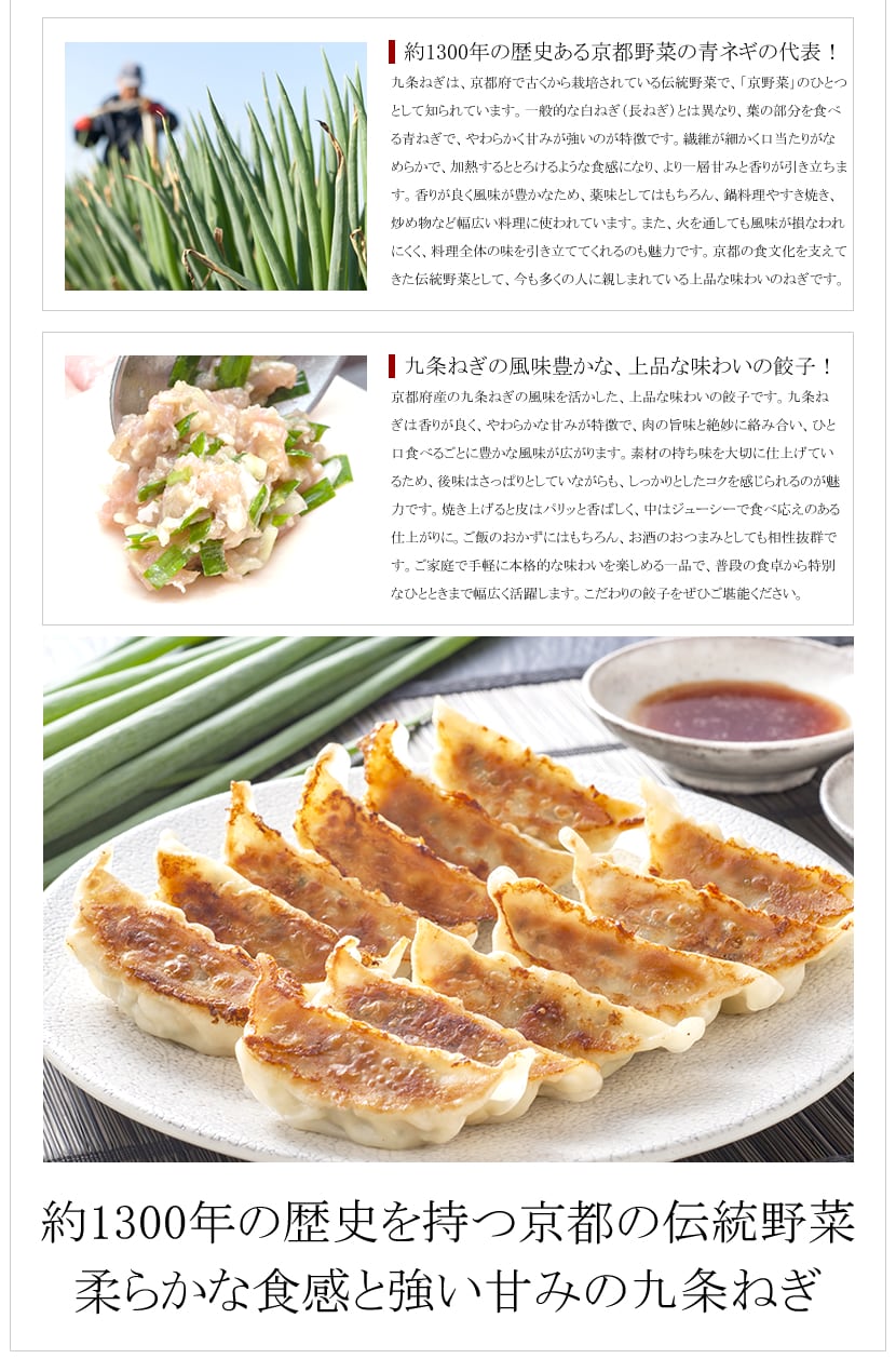 九条ねぎ餃子