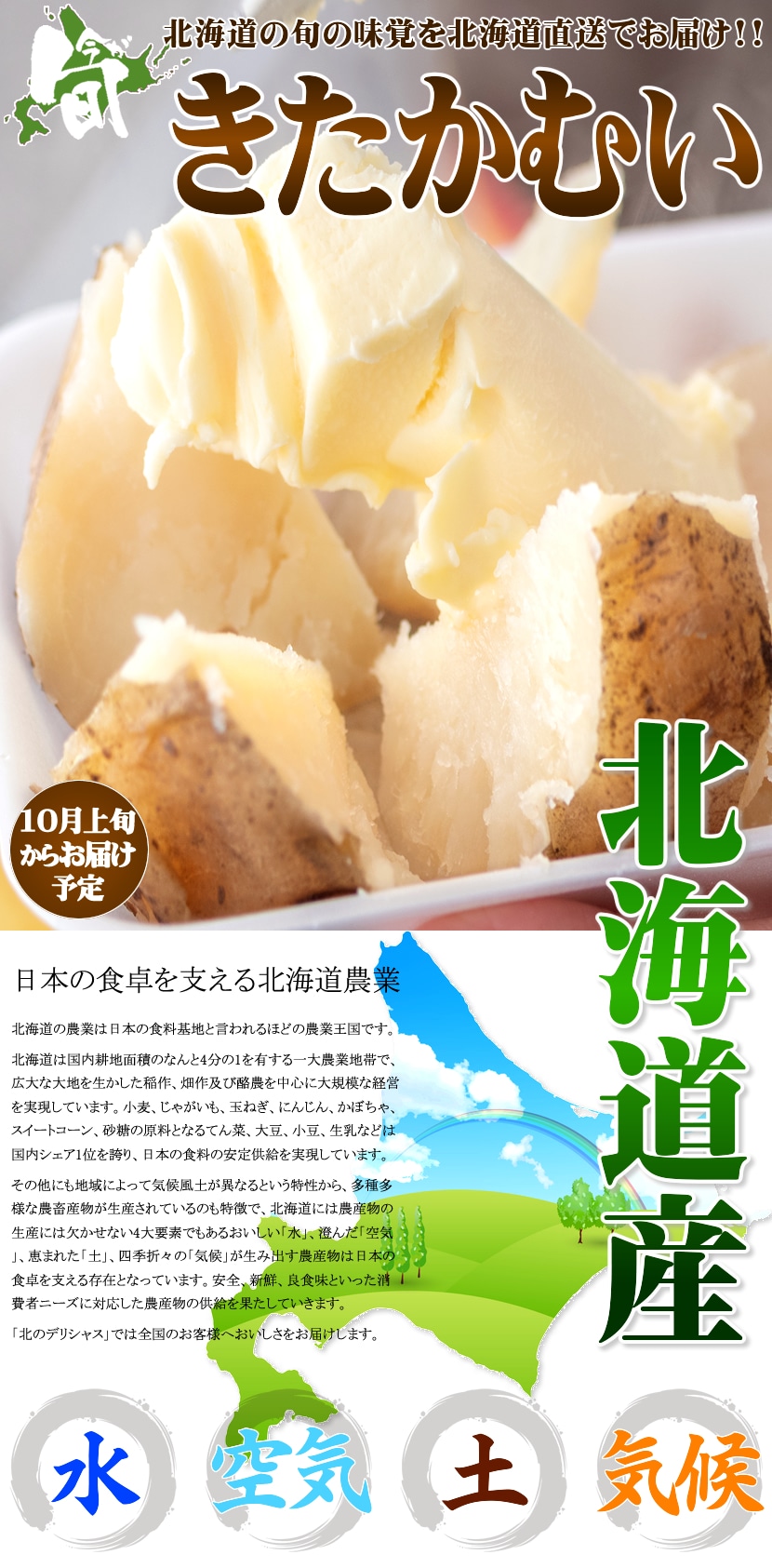 北海道産 新じゃが じゃがいも きたかむい 
