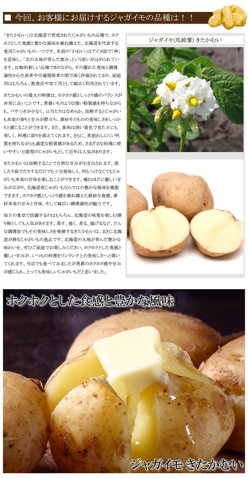 北海道産 新じゃが じゃがいも きたかむい 