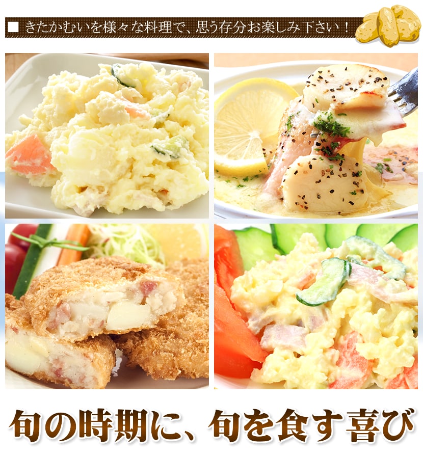 北海道産 新じゃが じゃがいも きたかむい 