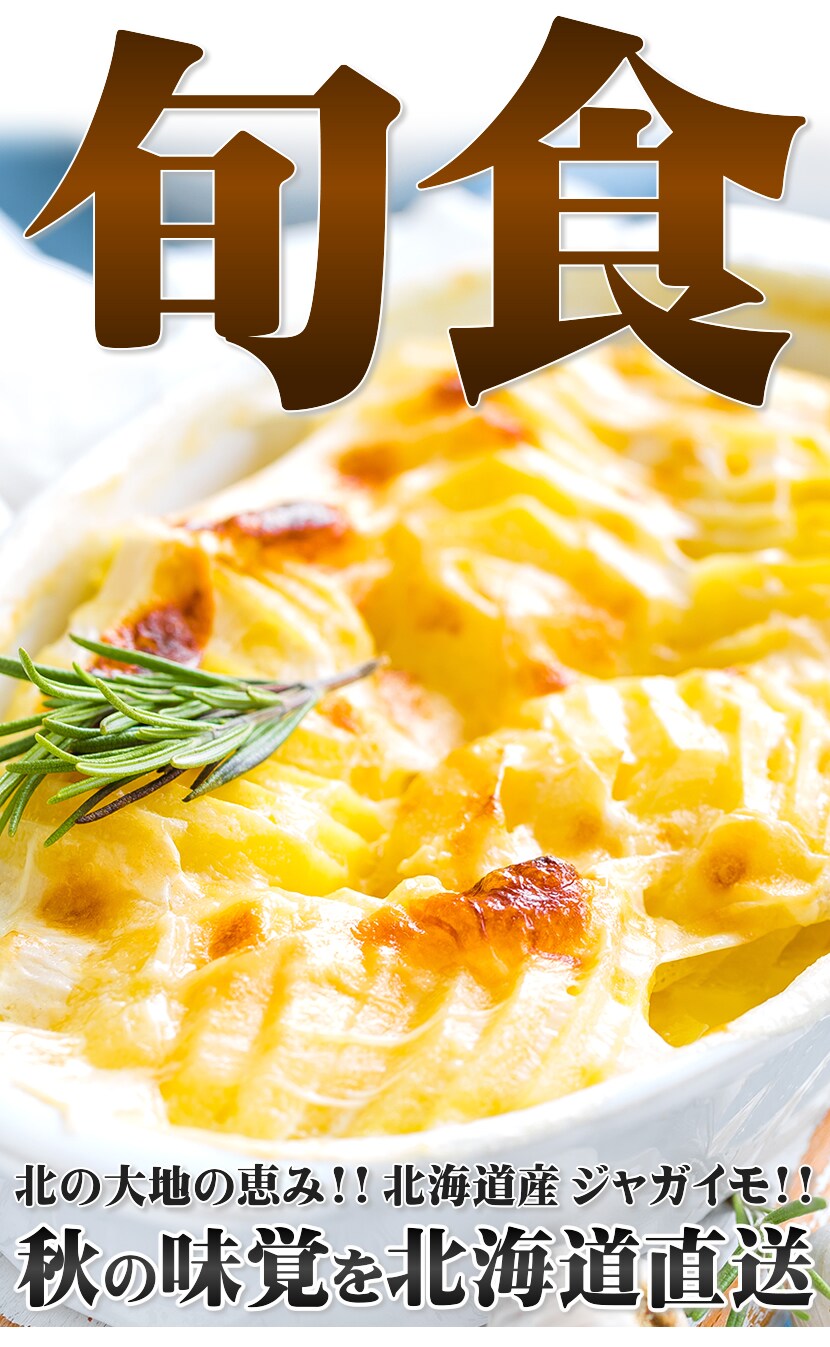 北海道産 新じゃが じゃがいも きたかむい 