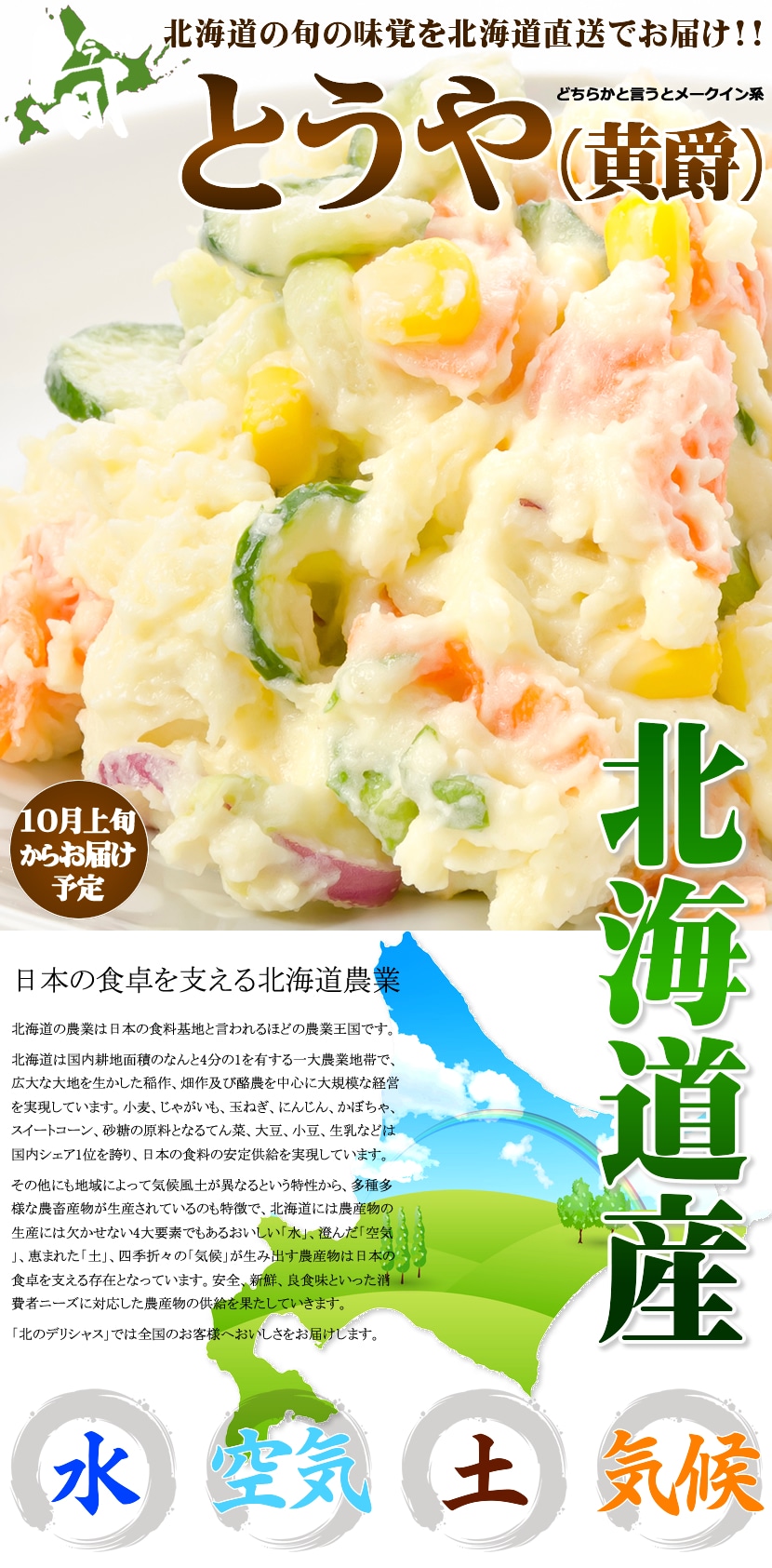 北海道産 新じゃが じゃがいも とうや 