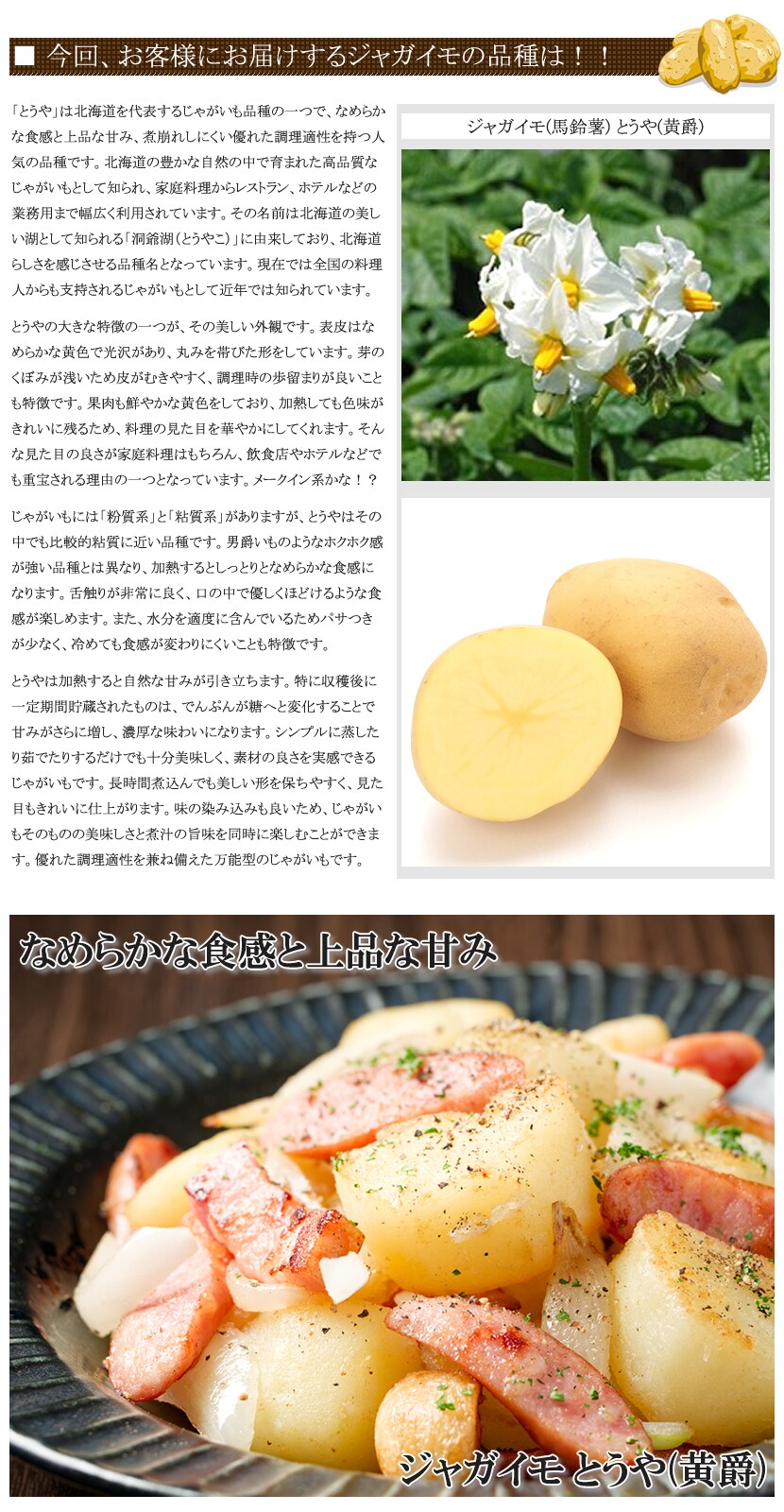 北海道産 新じゃが じゃがいも とうや 